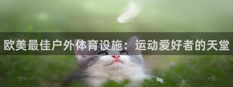 意昂3娱乐首页网站大全：欧美最佳户外体育设施：运动爱