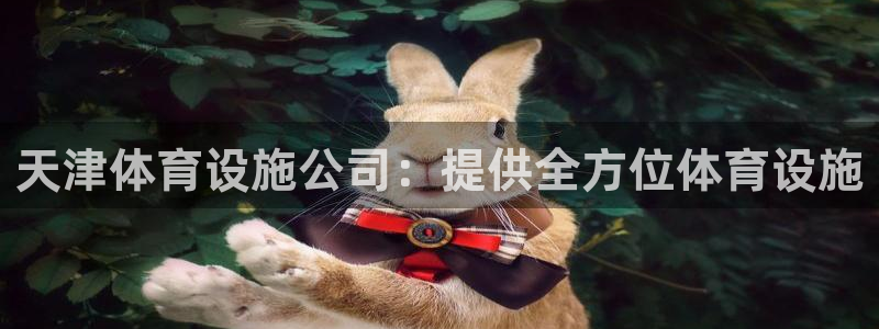 意昂体育3平台注册流程图：天津体育设施公司：提供全方