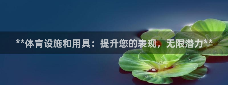意昂体育3招商电话号码查询：**体育设施和用具：提升