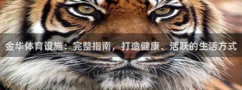 意昂体育3平台注册要钱吗是真的吗：金华体育设施：完整