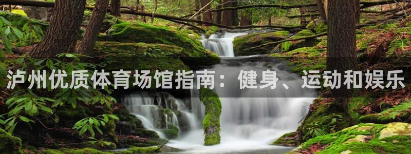 意昂3新能源：泸州优质体育场馆指南：健身、运动和娱乐