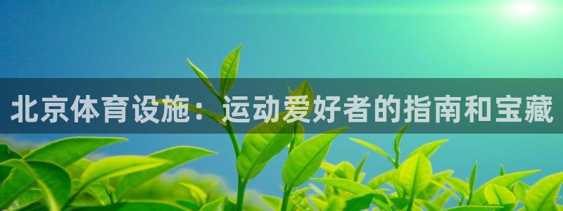 意昂3科技：北京体育设施：运动爱好者的指南和宝藏