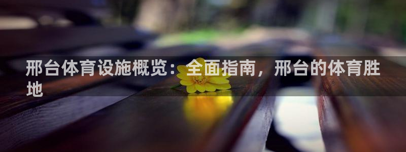 意昂体育3平台假的吗是真的吗吗：邢台体育设施概览：全