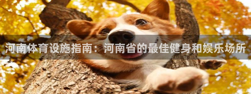 意昂体育3招商电话号码查询是多少：河南体育设施指南：