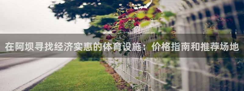 意昂体育3平台APP：在阿坝寻找经济实惠的体育设施：
