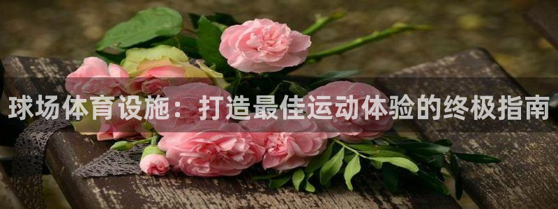 意昂3娱乐：球场体育设施：打造最佳运动体验的终极指南