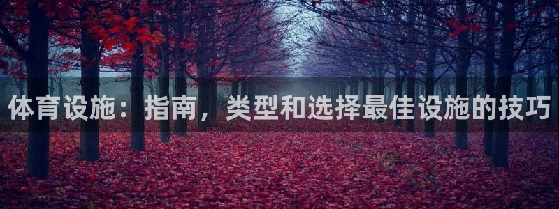 意昂3新能源：体育设施：指南，类型和选择最佳设施的技