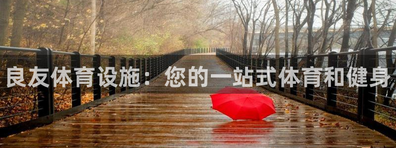 意昂3新能源：良友体育设施：您的一站式体育和健身