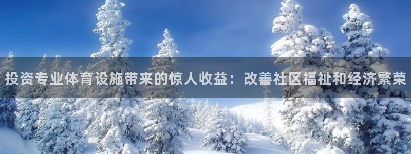 注册意昂3：投资专业体育设施带来的惊人收益：改善社区