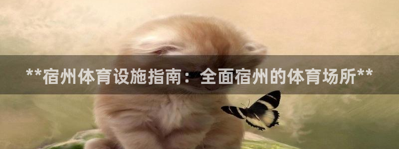 意昂体育3平台是正规平台吗安全吗：**宿州体育设施指