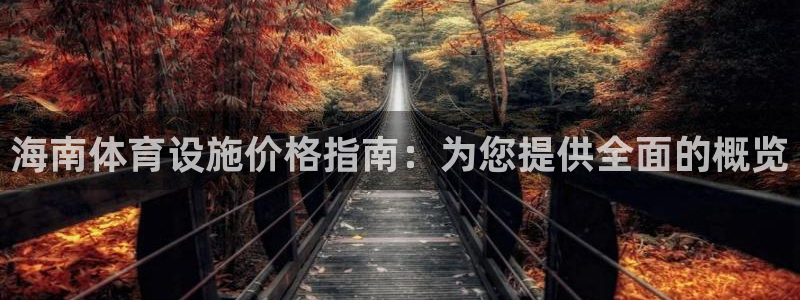 意昂3娱乐：海南体育设施价格指南：为您提供全面的概览