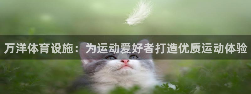 意昂体育3招商电话：万洋体育设施：为运动爱好者打造优