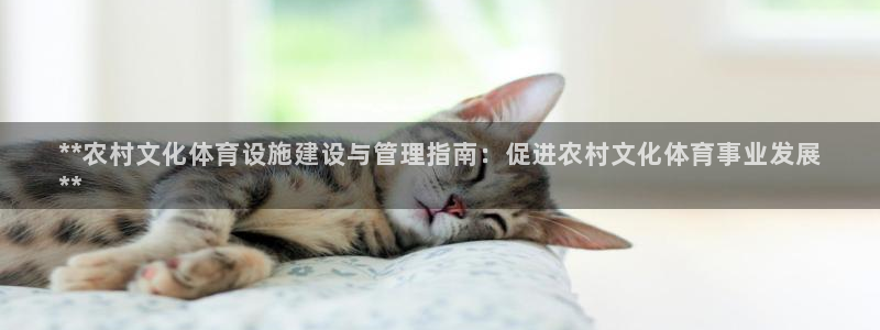 意昂体育3招商电话地址：**农村文化体育设施建设与管
