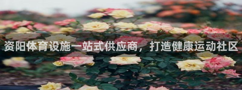 意昂体育3联系电话：资阳体育设施一站式供应商，打造健