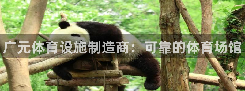 意昂体育3平台是正规平台吗安全吗：广元体育设施制造商