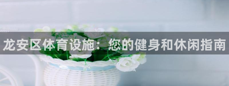 意昂平台体育：龙安区体育设施：您的健身和休闲指南