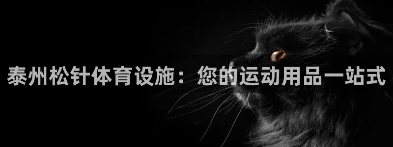 意昂体育3招商电话：泰州松针体育设施：您的运动用品一