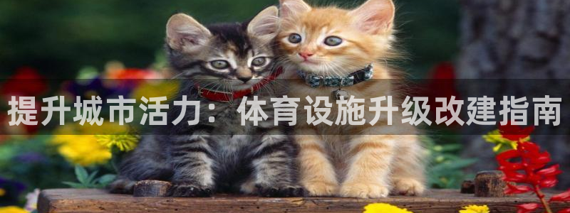 意昂体育3平台是正规平台吗安全吗：提升城市活力：体育