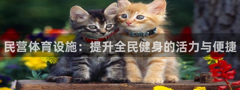意昂3五金厂：民营体育设施：提升全民健身的活力与便捷