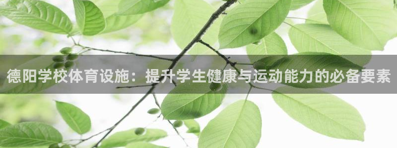 意昂体育3平台假的吗是真的吗吗：德阳学校体育设施：提