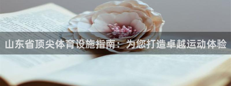 意昂3官网：山东省顶尖体育设施指南：为您打造卓越运动