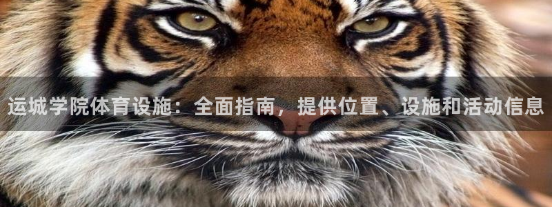 意昂体育3软件：运城学院体育设施：全面指南，提供位置