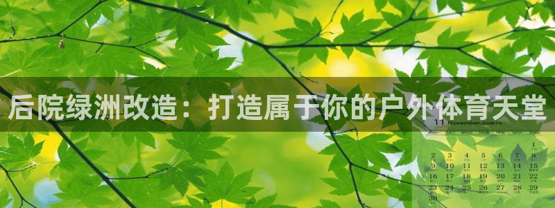 意昂体育3开户：后院绿洲改造：打造属于你的户外体育天