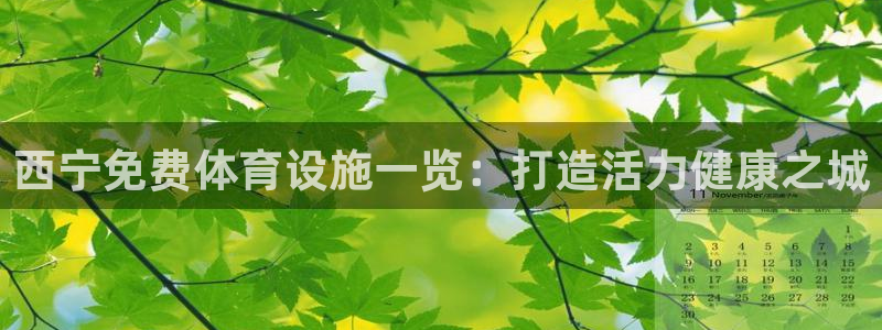 意昂体育3平台注册要钱吗是真的吗：西宁免费体育设施一