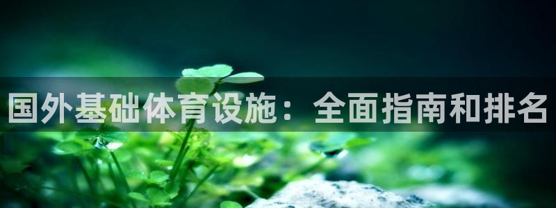 意昂3娱乐：国外基础体育设施：全面指南和排名