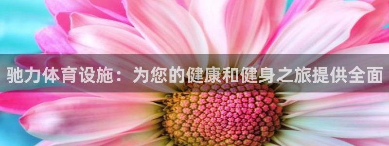 意昂3五金厂：驰力体育设施：为您的健康和健身之旅提供