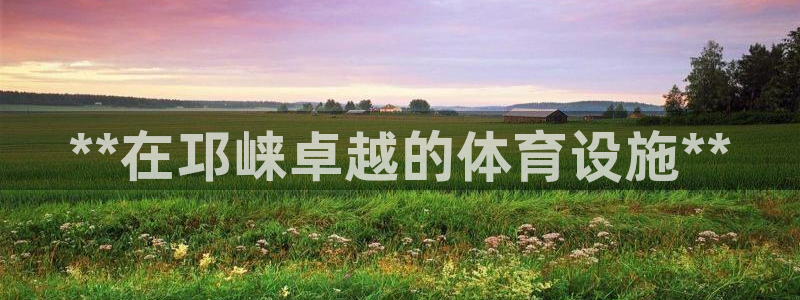 意昂3娱乐下载：**在邛崃卓越的体育设施**