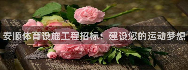 意昂体育3软件：安顺体育设施工程招标：建设您的运动梦