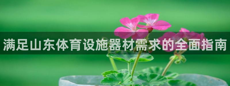 意昂3集团官网网址：满足山东体育设施器材需求的全面指