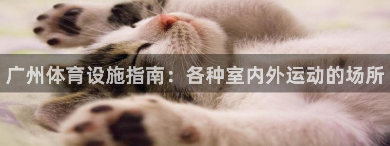 意昂体育3招商电话是多少：广州体育设施指南：各种室内