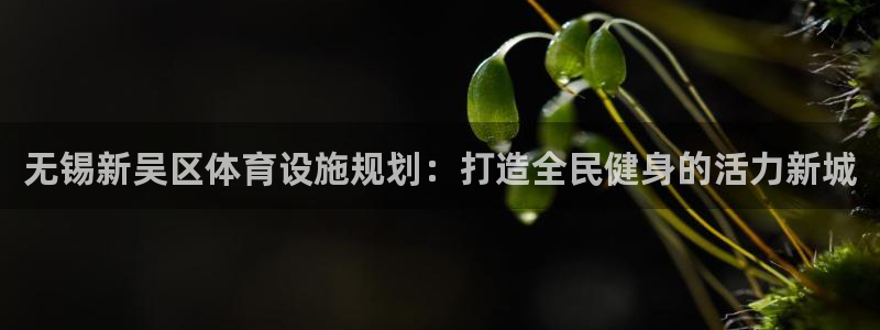 意昂平台体育：无锡新吴区体育设施规划：打造全民健身的