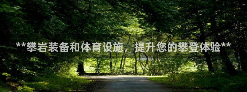 德国意昂3集团：**攀岩装备和体育设施，提升您的攀登