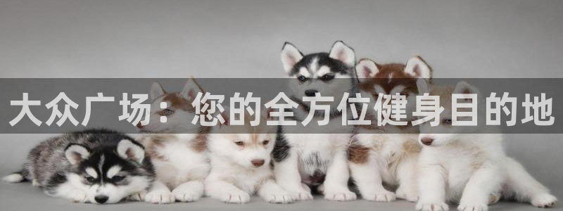 意昂体育3平台注册：大众广场：您的全方位健身目的地