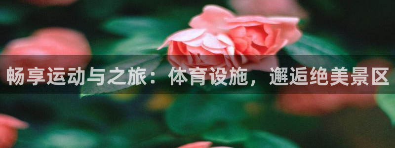 意昂平台体育：畅享运动与之旅：体育设施，邂逅绝美景区