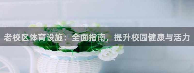 意昂3代理：老校区体育设施：全面指南，提升校园健康与