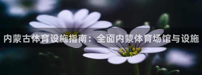 意昂3官方：内蒙古体育设施指南：全面内蒙体育场馆与设