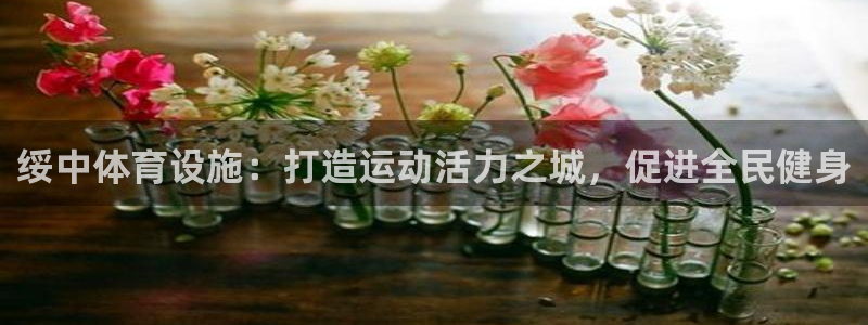 意昂体育3招商电话号码是多少啊：绥中体育设施：打造运