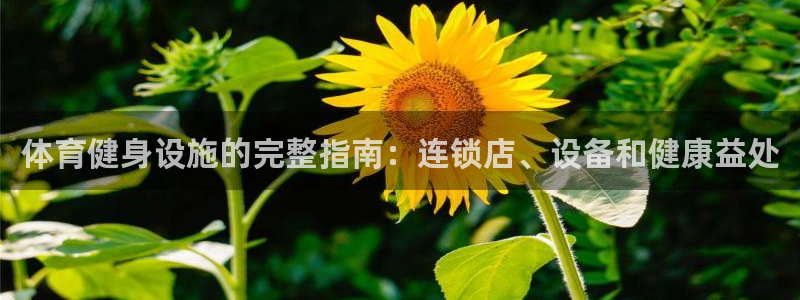 意昂体育3招商电话号码是多少啊：体育健身设施的完整指