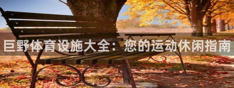 意昂体育3注册：巨野体育设施大全：您的运动休闲指南