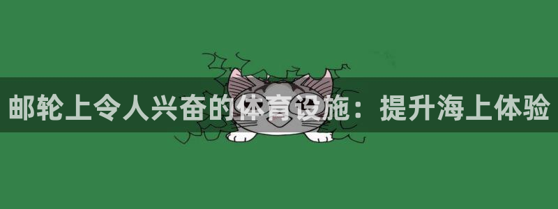意昂3娱乐40996：邮轮上令人兴奋的体育设施：提升