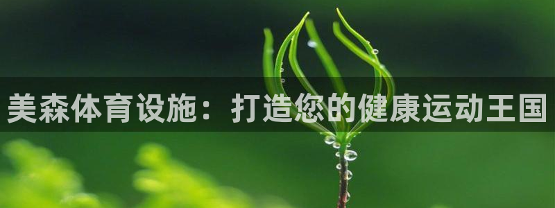 意昂体育3招商电话号码是多少：美森体育设施：打造您的
