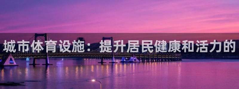 意昂3娱乐平台：城市体育设施：提升居民健康和活力的