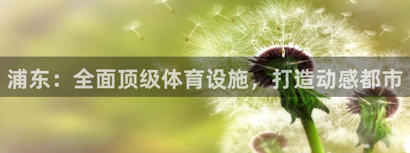 意昂体育3娱乐：浦东：全面顶级体育设施，打造动感都市