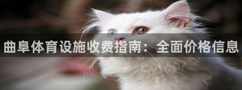 意昂体育3是干嘛的公司：曲阜体育设施收费指南：全面价
