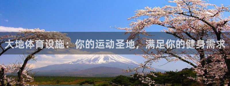 意昂体育3招商电话号码：大地体育设施：你的运动圣地，