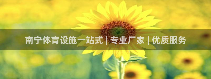 意昂体育3平台假的吗是真的吗：南宁体育设施一站式 |